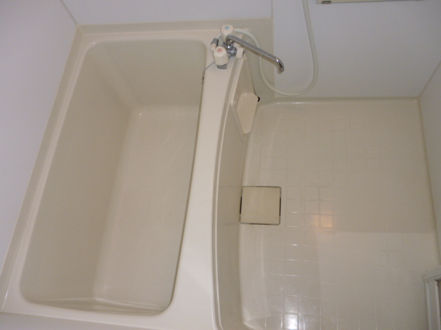 Bath. Spacious bathroom tub