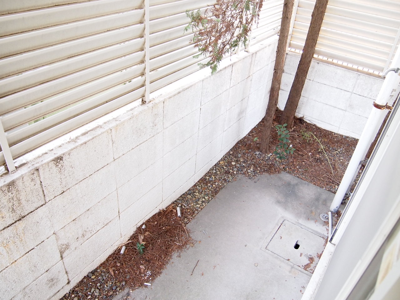 Balcony. terrace