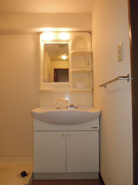 Washroom. Bathroom Vanity