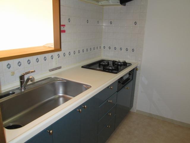 Kitchen. Indoor (11 May 2013) Shooting