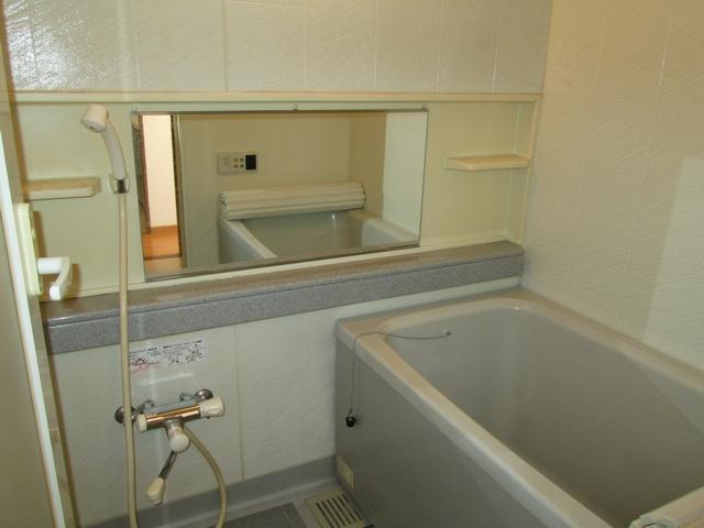 Bathroom. Indoor (11 May 2013) Shooting