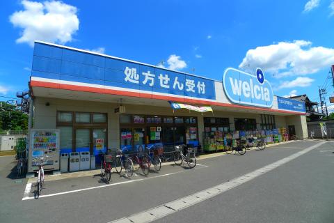 Dorakkusutoa. Uerushia Matsudo Wonsan shop 268m until (drugstore)