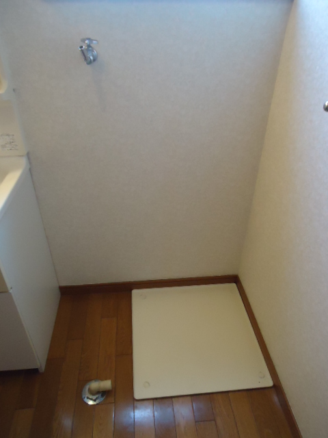 Washroom. Also comes with peace of mind is a window and some shelter to the indoor indoor washing machine