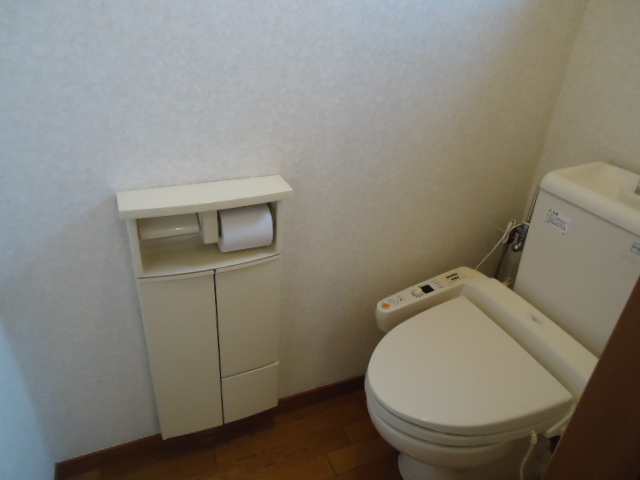 Toilet. Easy-to-use Washlet