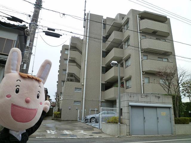 Local appearance photo. Local (December 27, 2013) Shooting