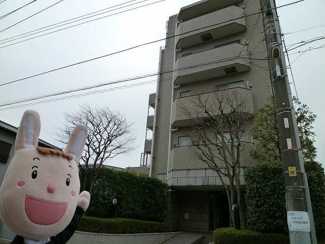 Local appearance photo. Local (December 27, 2013) Shooting