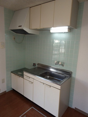 Kitchen. Two-burner gas stove can be installed