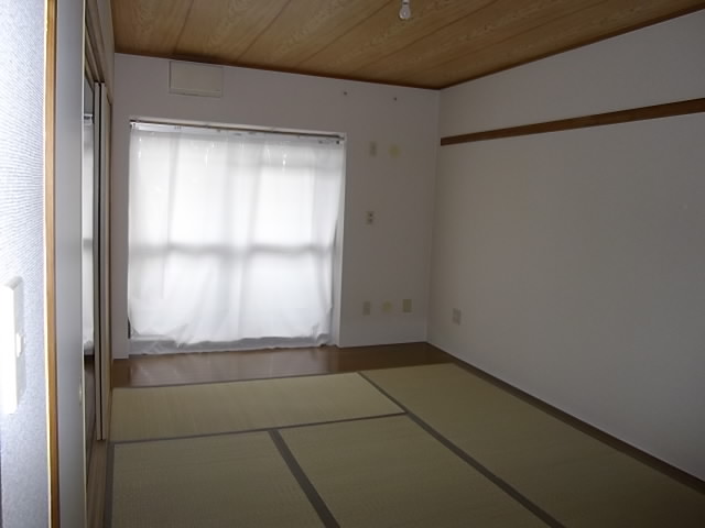 Living and room. Japanese-style room (1)