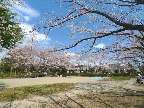 park. 1100m up to Central Park Yokosuka (park)