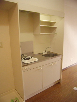 Kitchen. This is a system type of gas stove 1-neck equipped.