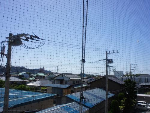 View photos from the dwelling unit