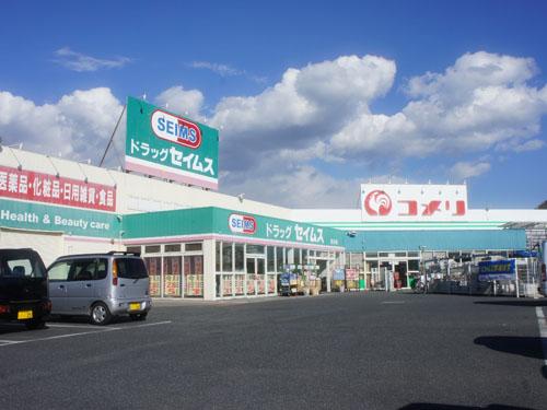 Drug store. Drag Seimusu 750m to Iwai shop