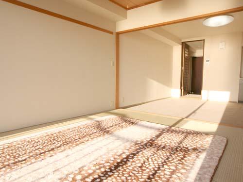 Non-living room. Shooting from the balcony side