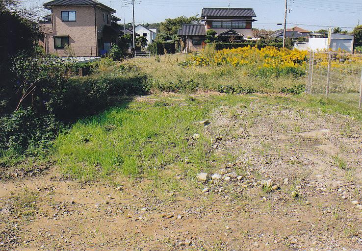 Garden. South side of the large garden