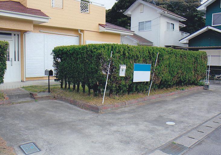 Parking lot. Spacious parking space