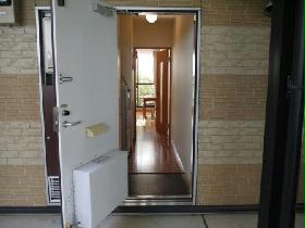 Entrance. It is the entrance door with a delivery box!