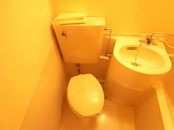 Toilet. Unit bus, such as a hotel