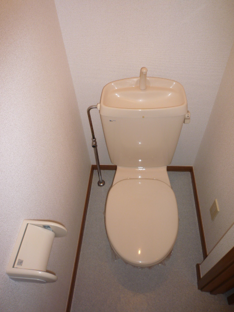 Toilet. Cleaning Since the white toilet Let's frequently