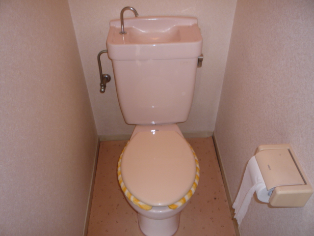 Toilet. Western-style toilet