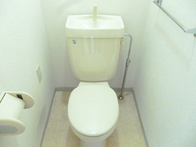 Toilet. Toilet with cleanliness