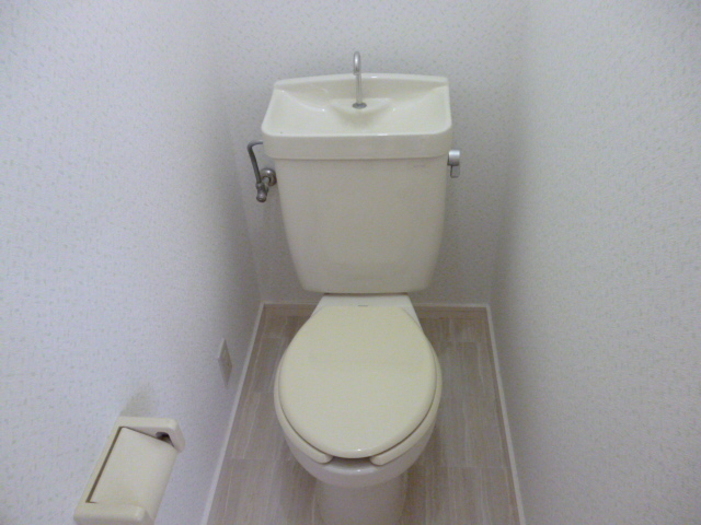 Toilet. Western style Standard type