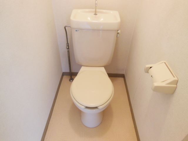 Toilet. Toilet