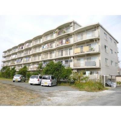 Local appearance photo. Local (10 May 2013) Shooting