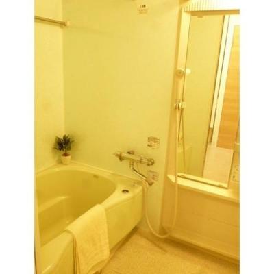 Bathroom. Indoor (10 May 2013) Shooting