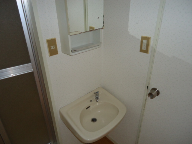 Washroom. Stand-alone is a washbasin