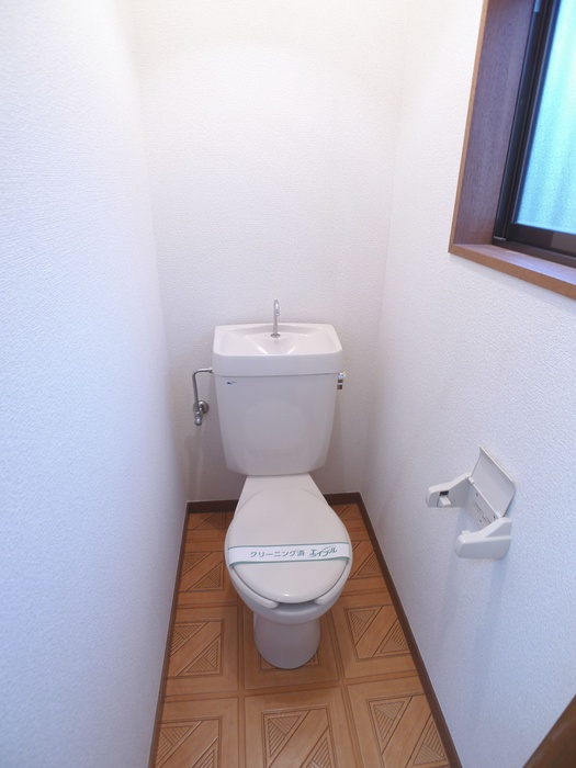 Toilet. Toilet