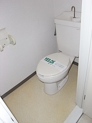 Toilet. Toilet