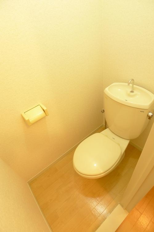 Toilet. It is a photograph of another room