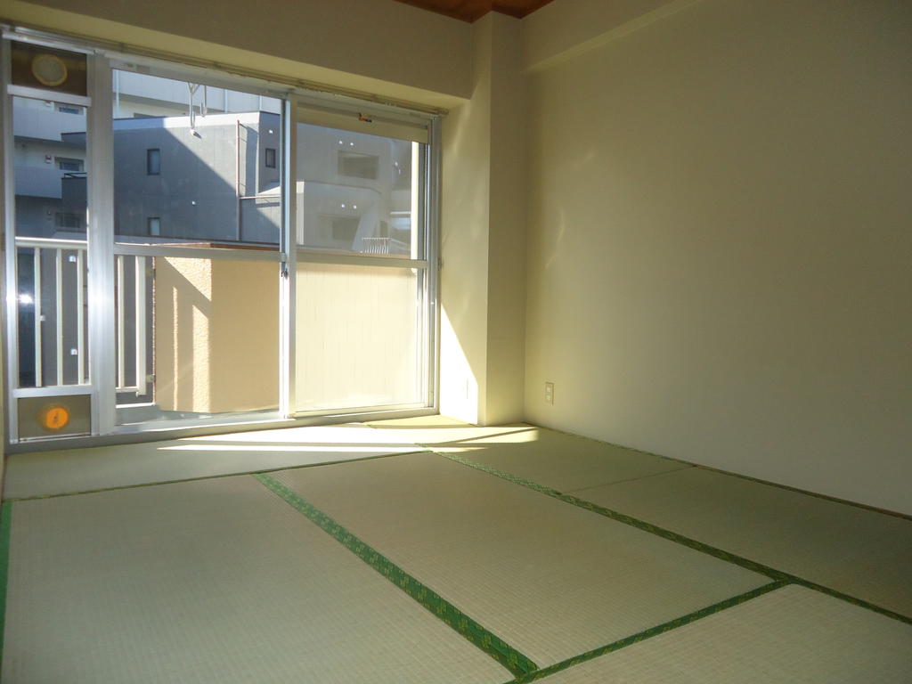 Other room space. It is a beautiful Japanese-style room