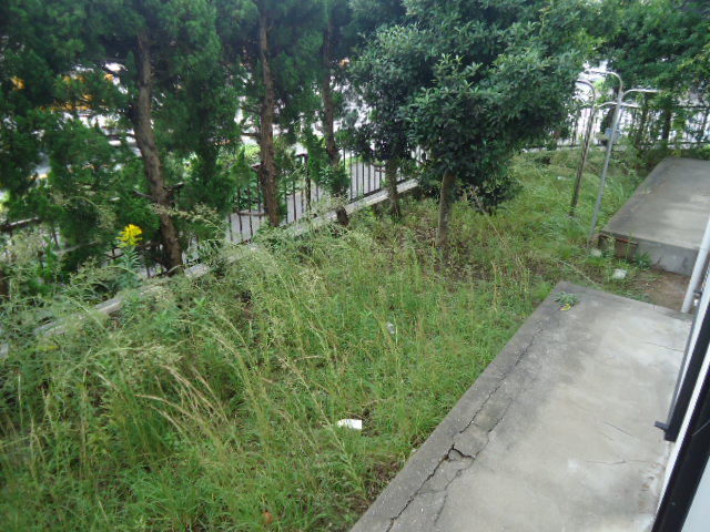 Balcony. It is easy-to-use a good garden