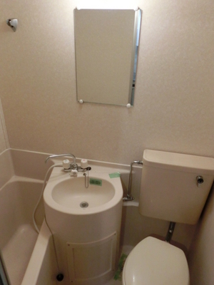 Washroom. Mirror washbasin