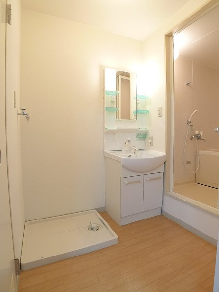 Washroom. Bathroom Vanity, Laundry Area
