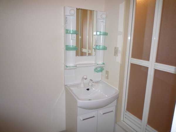 Washroom. Bathroom Vanity