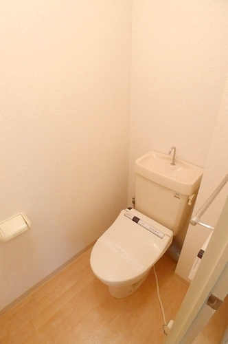 Toilet. It is a photograph of another room