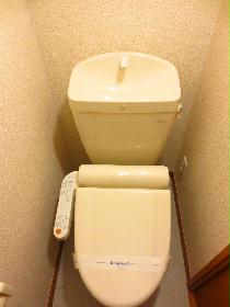 Toilet. With warm water washing toilet seat !!!