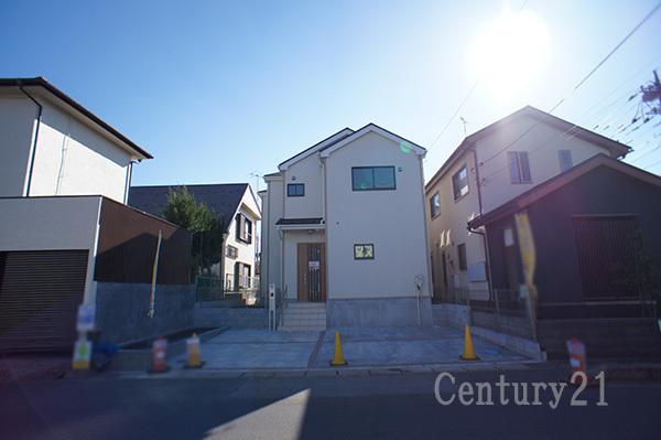 Local photos, including front road