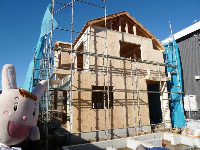 Local appearance photo. Local (December 22, 2013) Shooting