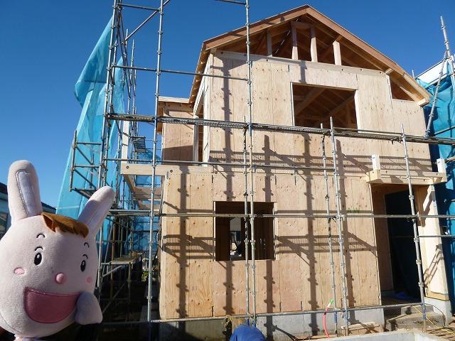 Local appearance photo. Local (December 22, 2013) Shooting