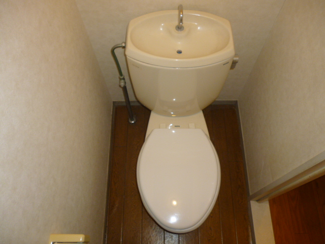 Toilet. Western style Standard type