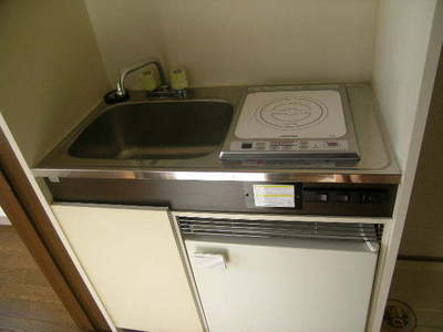 Kitchen. IH cooking heater with a mini kitchen