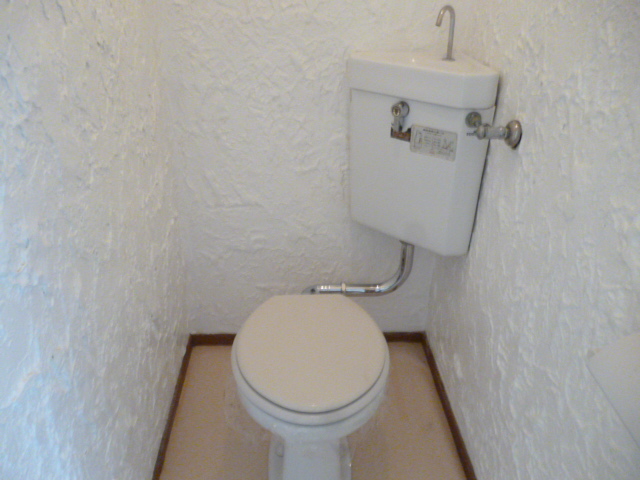 Toilet. Western style Standard type