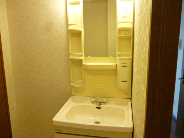 Washroom. Popular equipment Shampoo with Dresser