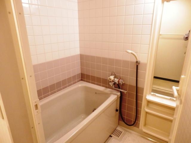 Bathroom. Indoor (10 May 2013) Shooting