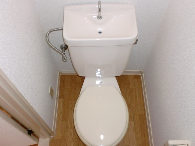 Toilet. Western style Standard type