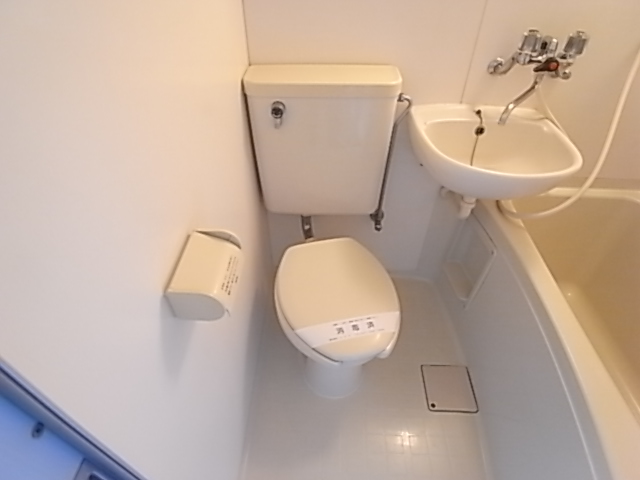 Toilet