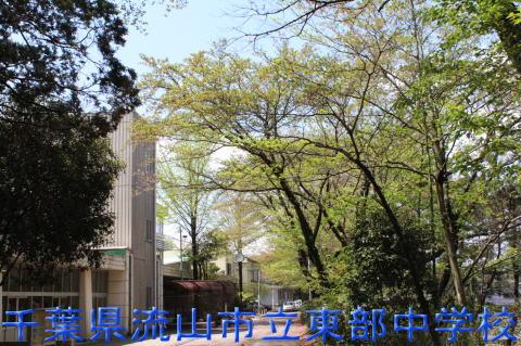Junior high school. Nagareyama 813m to stand the South Junior High School